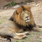 @wayne_f_mckinstry - Instagram