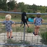 Wayne Mcmanus - @mcmanuswayne - Instagram