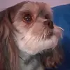 Wayne Mc Naughton - @wayne.mc.naughton - TikTok