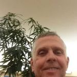 Wayne McNeilly - @mcneillywayne - Instagram