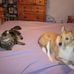 WayneandAnnie McVey - Facebook