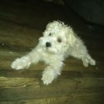 Wayne Meadows - @wayne.meadows.7334 - Instagram
