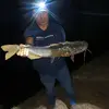 Wayne Meadows - @wayne.meadows6 - TikTok