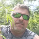 Wayne Meadows - @alexanderwaynemeadows - Instagram