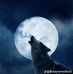 Wayne Medford - Facebook