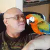 waynesmeltzer3 - @waynesmeltzer3 - TikTok