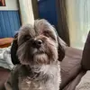 Wayne Menard - @wayne.menard - TikTok