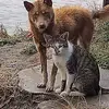Wayne - @wayne.meng - TikTok
