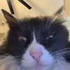 wynnmeriwether - @wynnmeriwether4325 - TikTok
