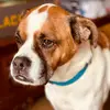 Wayne Michael - @thunder.320 - TikTok