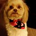 Wayne Michaud - Facebook
