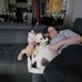 Wayne Michel - Facebook