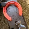 Wayne the farrier - @waynemilner53 - TikTok