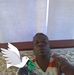 Wayne Mingo - Facebook