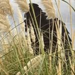Wayne Moeller - @h2o4ne1 - Instagram