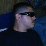 Wayne Mohler - @greendollersrobert - Instagram