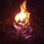 Wayne Moon - @wayne.moon - Instagram