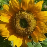 Wayne Moon - @rainbowthumbs - Instagram
