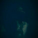 Jerry Wayne mooneyham - @jerrywaynemooneyham - Instagram