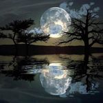 Wayne Mooneyham - @w.moon.69 - Instagram
