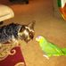 Wayne Moore - Facebook