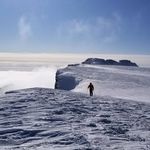 Wayne Mortensen - @waynedmortensen - Instagram