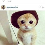 Jack Joseph - @waynemunroe4444 - Instagram