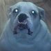 Wayne Nagel - Facebook