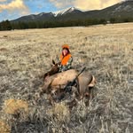 Wayne Nagel - @honey_badgerwn - Instagram