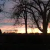 waynenagel7 - @waynenagel7 - TikTok
