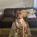 Wayne Nakata - Facebook