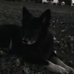 DeWayne Nance - @nancedewayne - Instagram