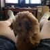 Wayne Nance - Facebook