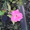Wayne Naquin - @wayne.naquin6 - TikTok
