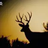 Wayne Neal - @wayne.neal89 - TikTok