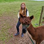 Wayne Neal - @wayneneal - Instagram