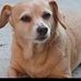 Wayne Neal - Facebook