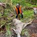 Wayne Needham - Facebook