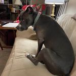 Wayne Nettles - @wayne.nettles.3 - Instagram