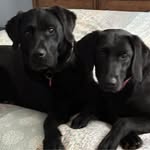 Donna Wanek Neubauer - @donna.neubauer.5 - Instagram