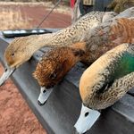 Wayne Neufeld - @wayne.neufeld - Instagram