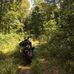Wayne National Forest  New Straitsville OH - Facebook