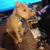 Wayne Newsone - @wayne.newsone - TikTok