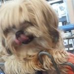 jeremy wayne newberry - @bigkuntrybull76 - Instagram