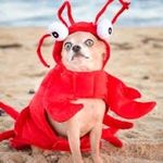 Hunter Wayne Newby - @night_bear123 - Instagram