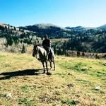 Wayne Riley Ney - @wayneney - Instagram