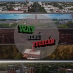 Waynené Yucatan - @wayneneyuc - Instagram