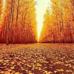 Noor eqbor Anda - @waynenguyen_870969 - Instagram