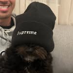 Wayne Nguyen - @waynedeer_ - Instagram