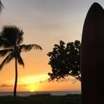 Wayne Nielsen - @waynenielsen233 - Instagram